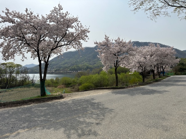 아로미 팜핑장 수확 체험 농산물