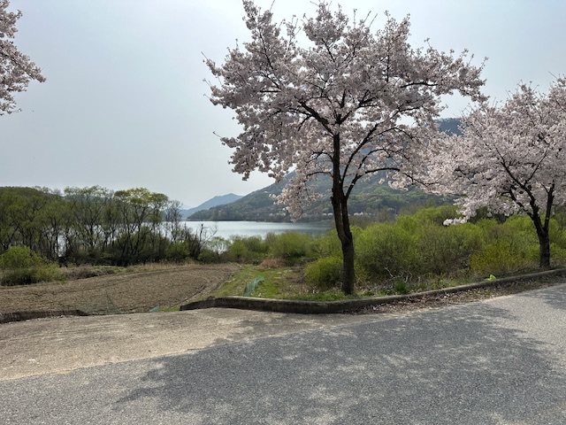 아로미 팜핑장 수확 체험 농산물